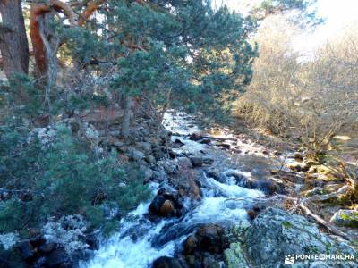 Cascadas Purgatorio;Bosque de Finlandia; rutas por las hoces del duraton el atazar embalse pedriza d